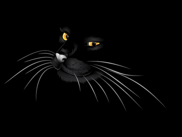 Vecteur chat noir dans le noir