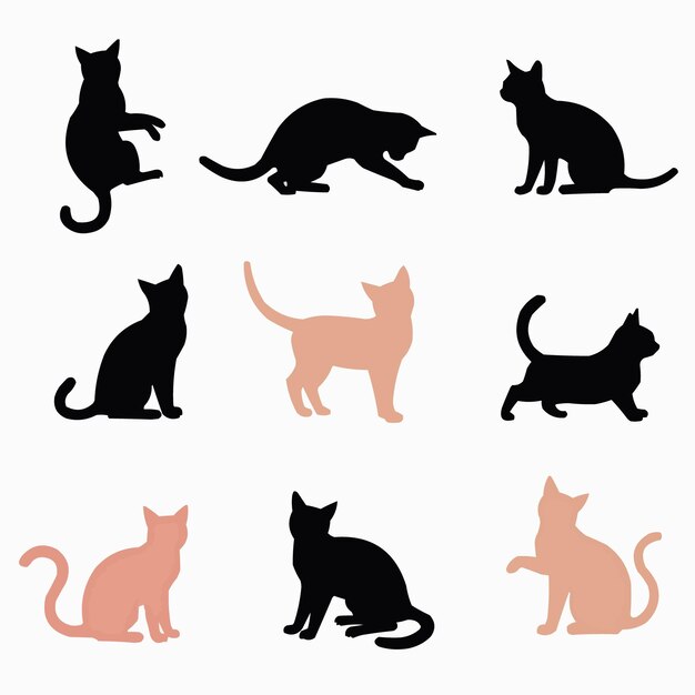 un chat noir avec une étiquette rouge qui dit chats