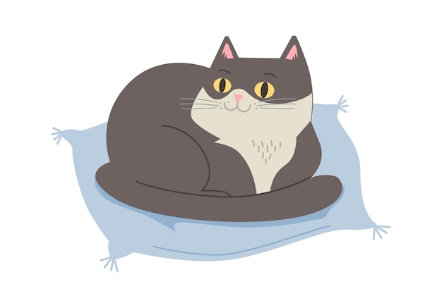 Vecteur chat sur l'oreiller illustration vectorielle