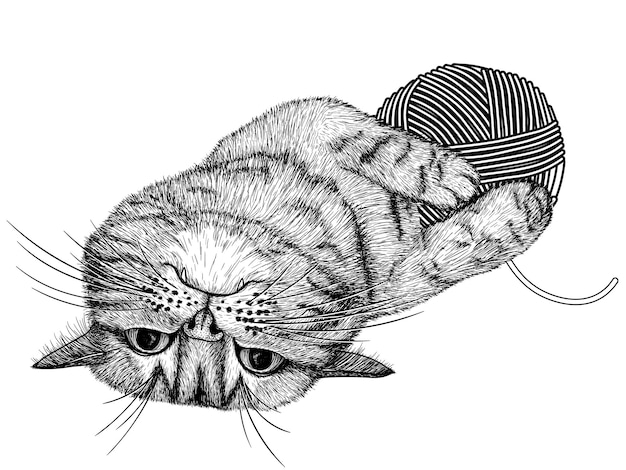 Vecteur chat rayé jouant avec une pelote de fil dans le style de la gravure