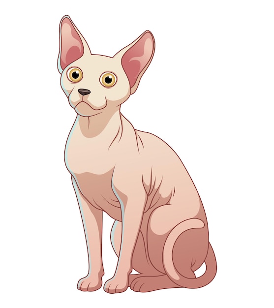 Vecteur chat sphynx, dessin animé, animal, illustration