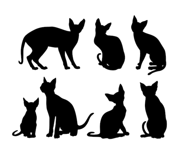 chat de type sphinx à silhouette vectorielle