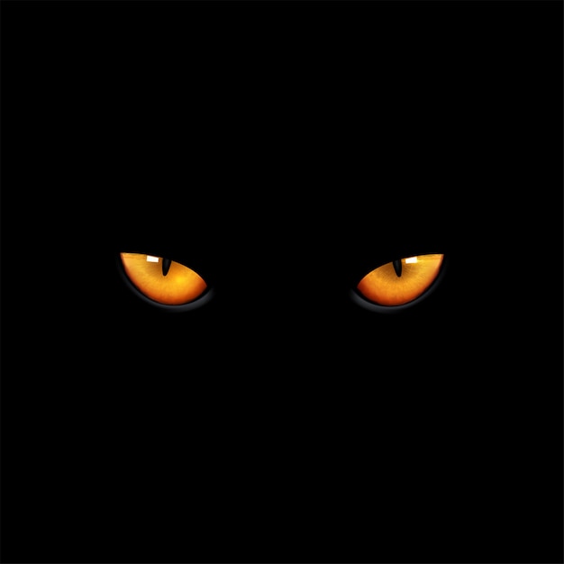 Vecteur chat yeux sur fond noir.
