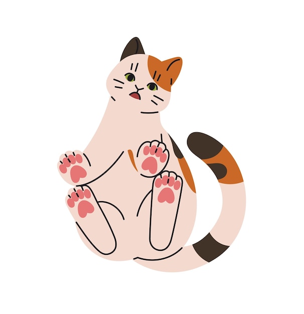 Chaton drôle avec le museau choqué s'étonne est assis sur la vue du bas du verre Chaton mignon avec le visage stupide surpris Chat bête regardant le comportement de l'animal de compagnie Illustration vectorielle isolée plate sur fond blanc
