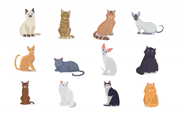 Vecteur chats de collection de races différentes. chats isolés de vecteur sur fond blanc