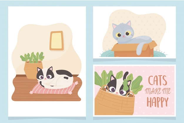 Les Chats De Compagnie Me Rendent Heureux Avec L'illustration De Cartes De Dessin Animé De Coussin Et Panier De Boîte