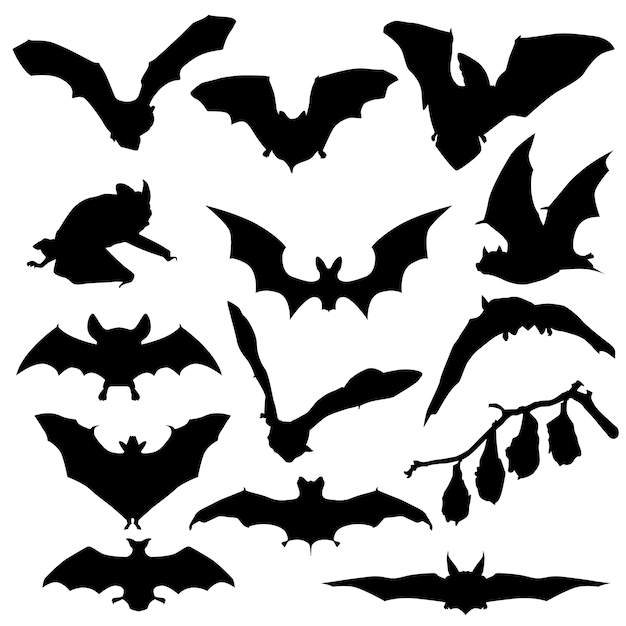 Chauve-souris Halloween Animal Cave Clipart Symbole Silhouette Vector