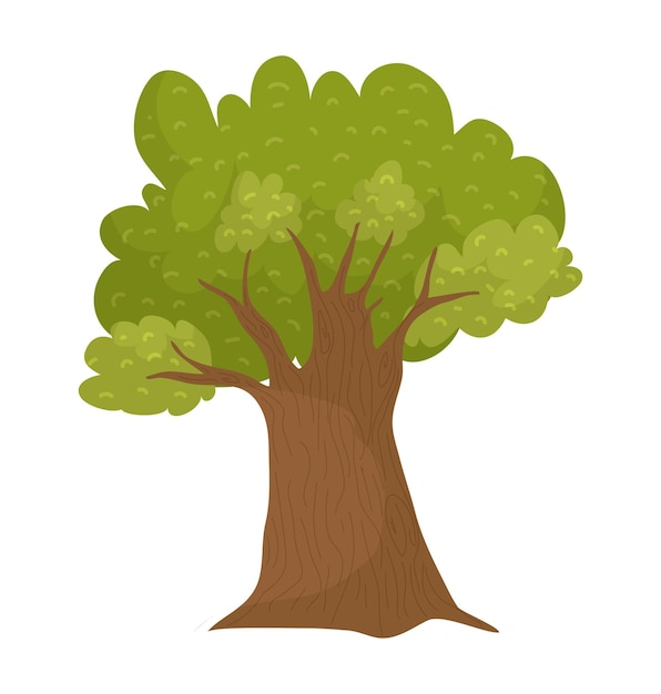 Chêne de dessin animé au feuillage vert luxuriant et au tronc brun détaillé, parc naturel isolé ou forêt