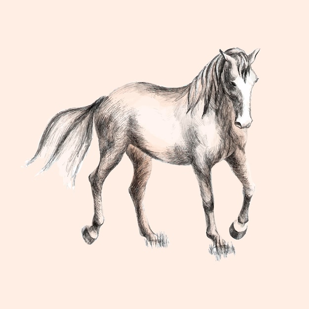 Vecteur cheval beige graphique vectoriel dans un style aquarelle