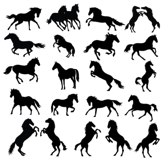 Vecteur cheval, ensemble, silhouette, cheval, ensemble, vecteur