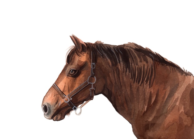 Vecteur cheval peint à la main aquarelle