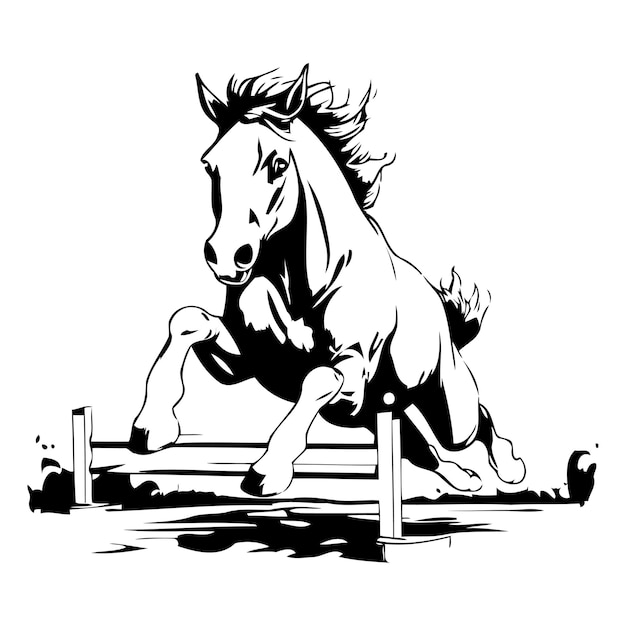 Vecteur un cheval qui saute sur un obstacle illustration vectorielle d'un cheval qui saute sur des obstacles