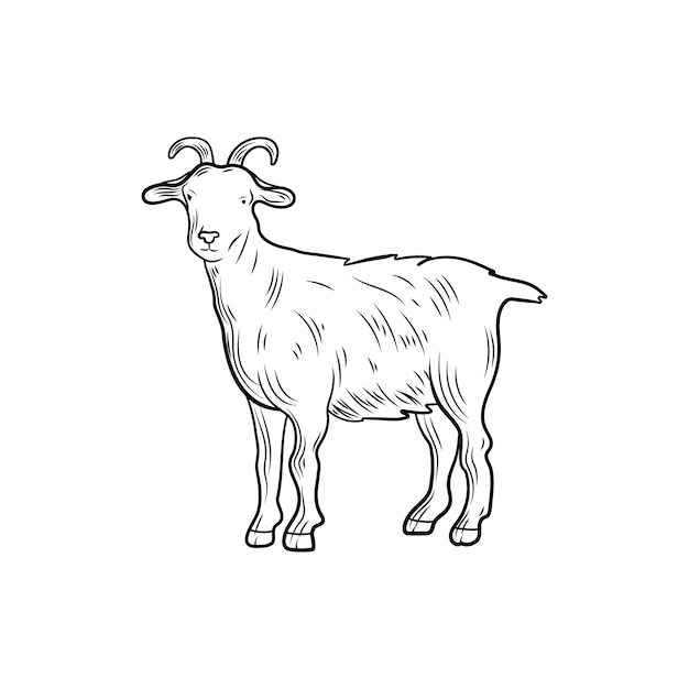 Chèvre de vecteur croquis contour illustration animal de ferme isolé sur fond blanc