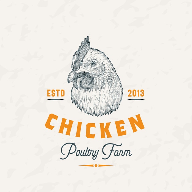 Chicket Meat Farm Retro Badge Logo Template Croquis De Visage De Poule Dessiné à La Main Avec Typographie Rétro Emblème De Croquis De Volaille Vintage Isolé