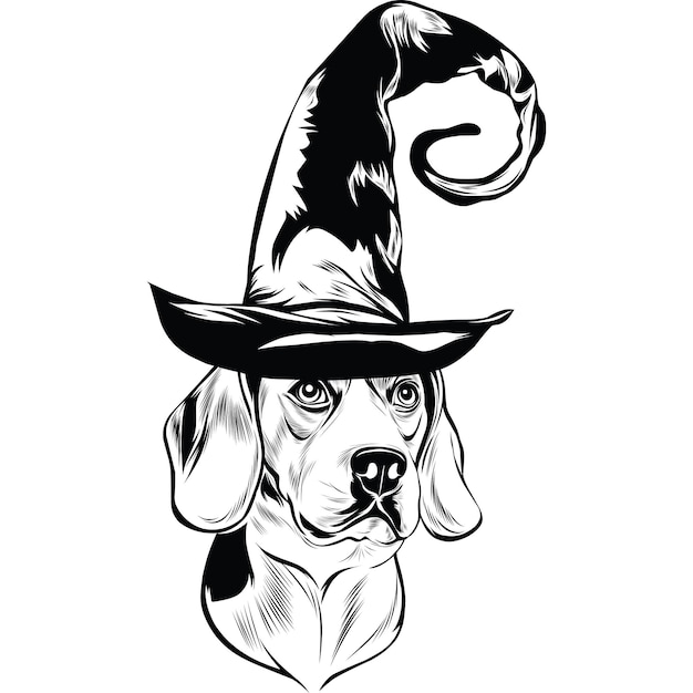 Chien Beagle En Chapeau De Sorcière Pour Halloween