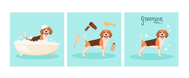 Vecteur le chien beagle se lave dans la salle de bain conception de dessin animé de toilettage