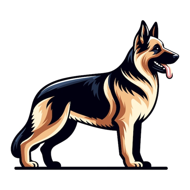 Chien Berger Allemand Illustration Vectorielle Du Corps Entier Chien Debout Famille Service De Recherche D'aide Aux Animaux De Compagnie