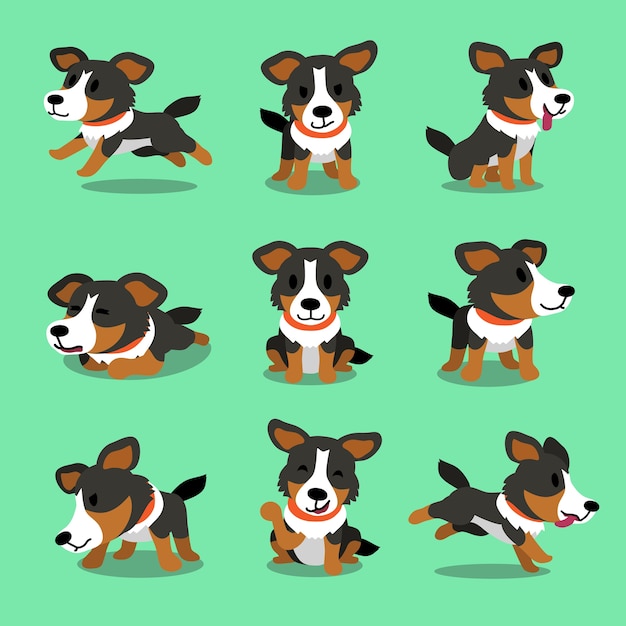 Chien de berger américain personnage de dessin animé pose