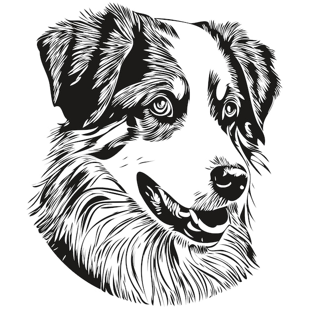 Chien de berger australien illustration dessinée à la main noir et blanc vecteur animaux logo dessin au trait