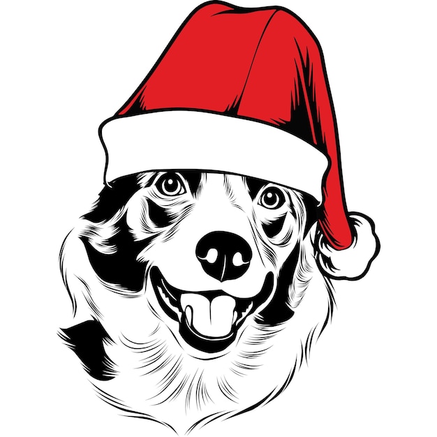 Chien Border Collie En Bonnet De Noel Pour Noël