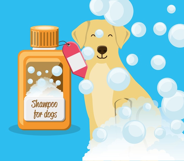 Vecteur chien avec une bouteille de shampoing