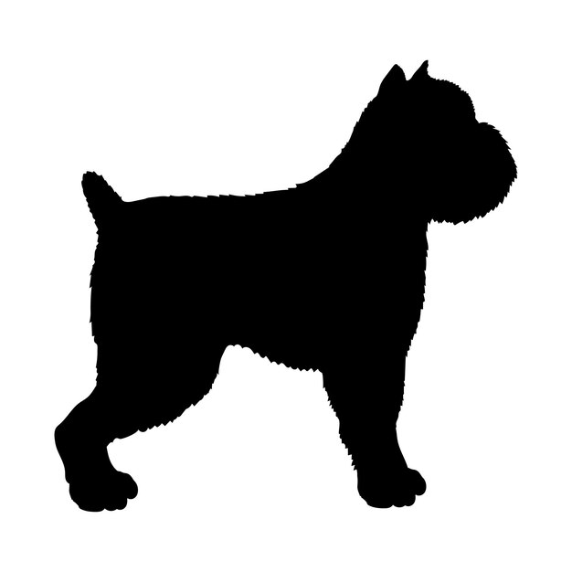 Vecteur chien brussels griffon silhouette chiens races logo monogramme du chien vecteur