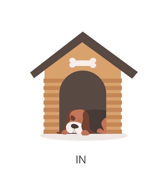 Chien en cabine