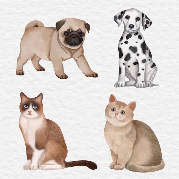 Vecteur chien et chat aquarelle clip art illustration