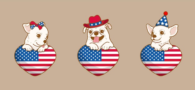 Chien Chihuahua Mignon Avec Le Drapeau Américain Chauffe Le Jour De L'indépendance Américaine Le 4 Juillet Et Le Jour Du Souvenir