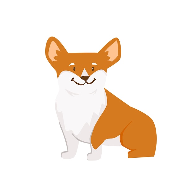 Chien Corgi Mignon