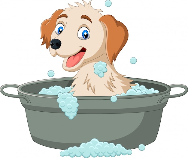 Chien De Dessin Animé Ayant Un Bain