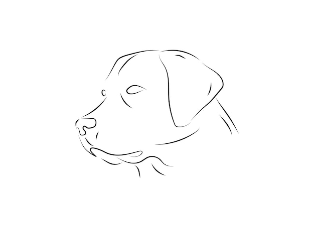 chien dessin au trait illustration