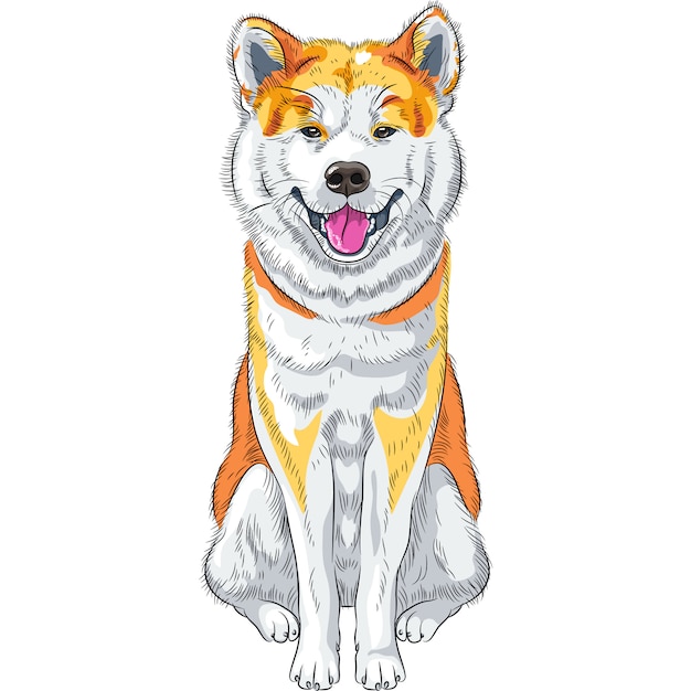 Chien de dessin vectoriel Akita Inu sourires de race japonaise