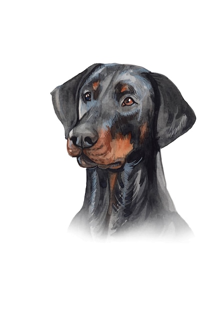 Chien dobermann aquarelle peint à la main