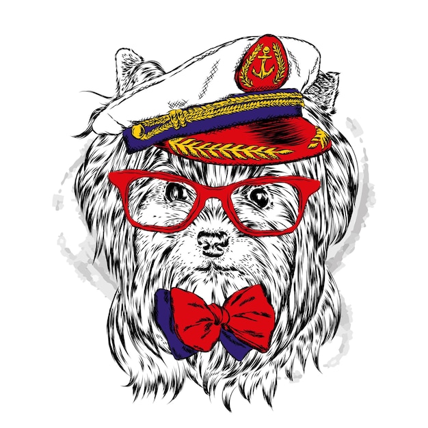 Vecteur chien drôle en casquette et lunettes sailor vector illustration pour carte de voeux