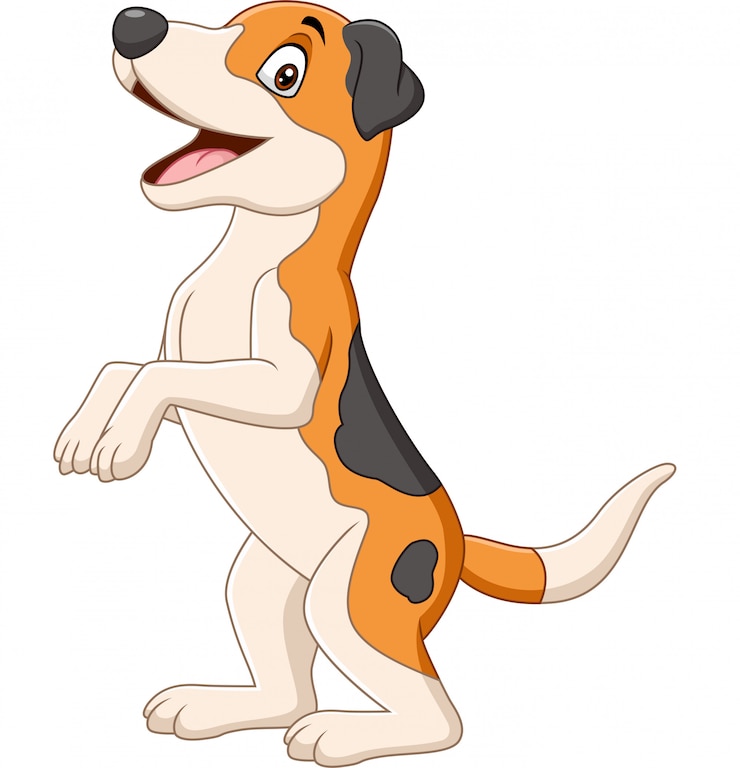 Vecteur chien drôle de dessin animé debout sur blanc