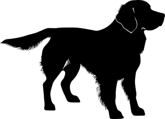 Vecteur chien golden retriever illustration de silhouette vectorielle