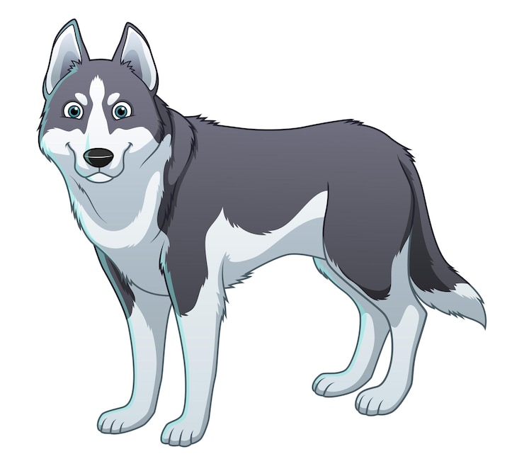 Vecteur chien husky sibérien illustration animale dessin animé