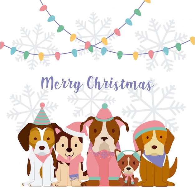 Chien Joyeux Noel Carte