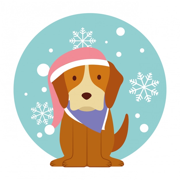 Chien Joyeux Noel Carte