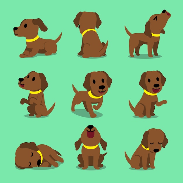 Vecteur chien labrador brun de personnage de dessin animé vector pose