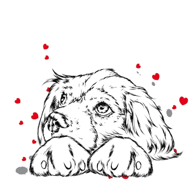 Chien mignon et coeurs Saint Valentin isolé sur blanc