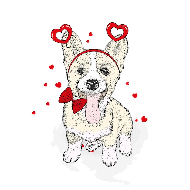 Chien Mignon Et Coeurs Saint Valentin Isolé Sur Blanc