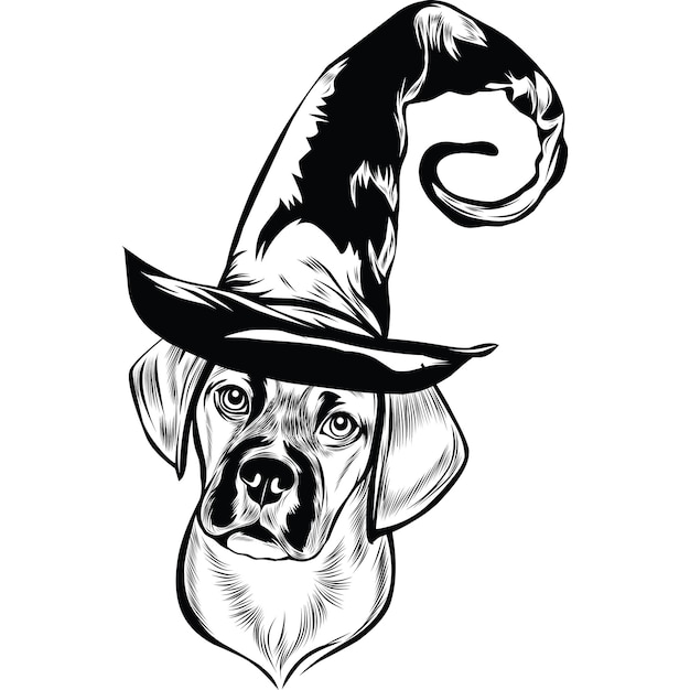 Chien Puggle Au Chapeau De Sorcière Pour Halloween