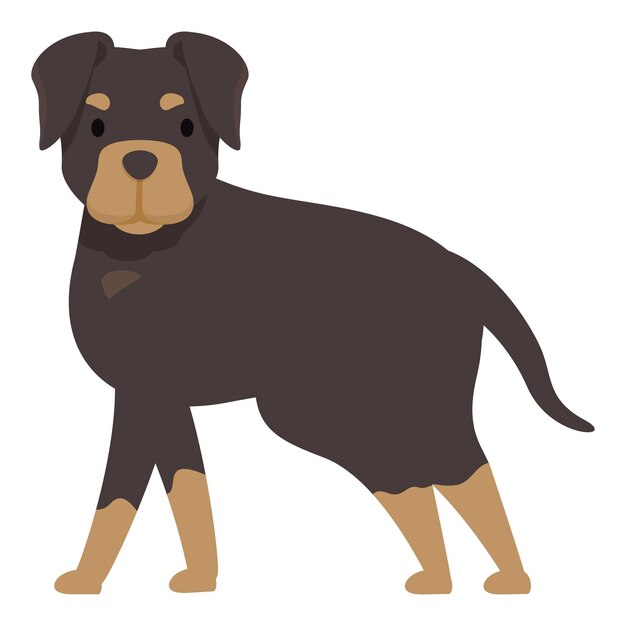 Un chien Rottweiler se tient en garde et regarde attentivement.