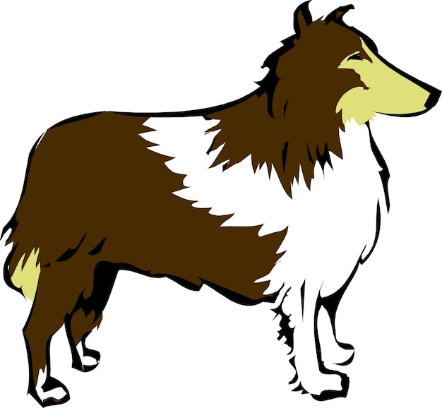 Vecteur chien sheltie mignon ou colley rugueux dessin animé dessiné à la main animaux de compagnie illustration vectorielle comique