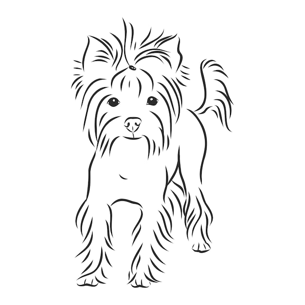 Vecteur chien yorkshire terrier - illustration vectorielle dessinés à la main isolé