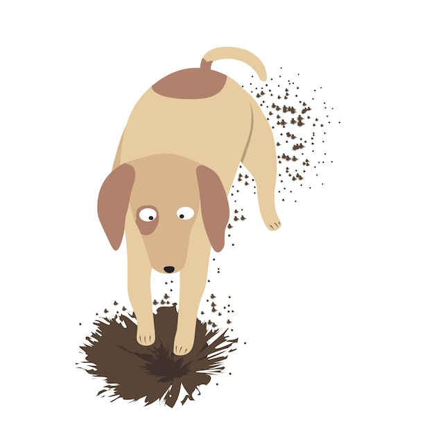 Vecteur chiens d'agilité vecteur plat coloré en style dessin animé illustration colorée de chien creusé
