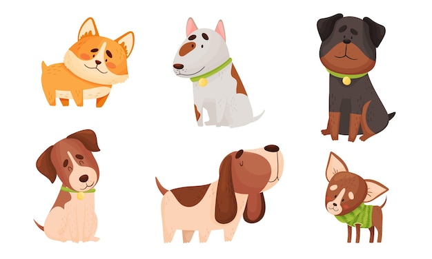 Chiens drôles dans des poses assises et debout Set vectoriel