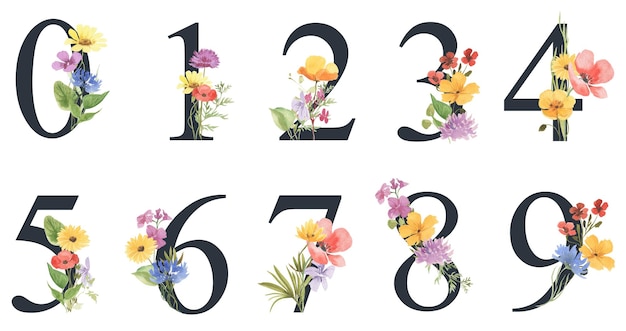 Chiffres encadrés par des fleurs sauvages à l'aquarelle